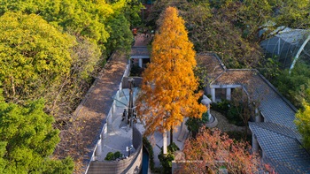 various areas of the park were constructed at different times and in different design styles, provide a very interesting mix of plant species. The Tai Chi Garden, for example, features a specimen <i>Taxodium distichum</i> (Bald Cypress) and <i>Liquidambar styraciflua</i> (Sweetgum). Both species provide colourful foliage displays during winter.